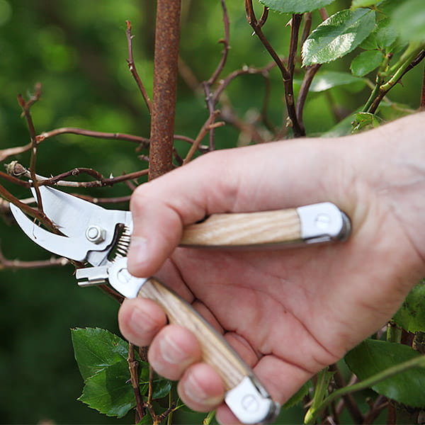 5-in-1 Garten Multitool