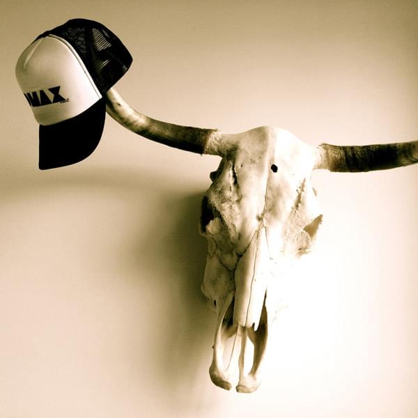 DMAX Trucker-Cap - Image 3